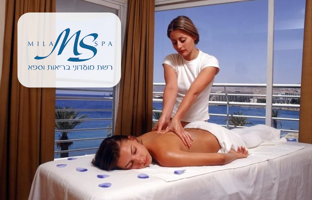 תמונת מוצר 1