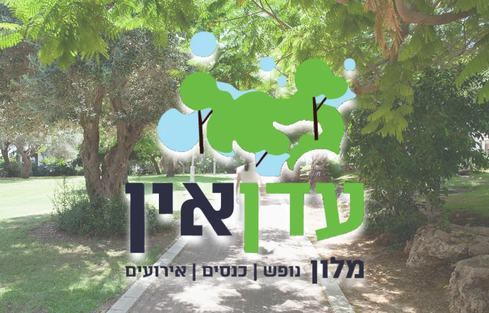 תמונת מוצר 1